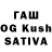 Каннабис планчик Edward Warkentin
