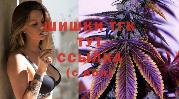 сатива Балабаново