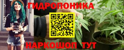 Альфа ПВП Кудрово