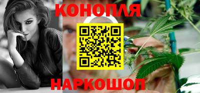 гашик Кузнецк