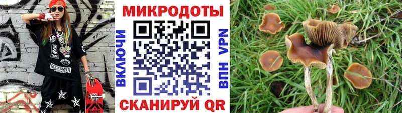 Псилоцибиновые грибы прущие грибы  Заречный 